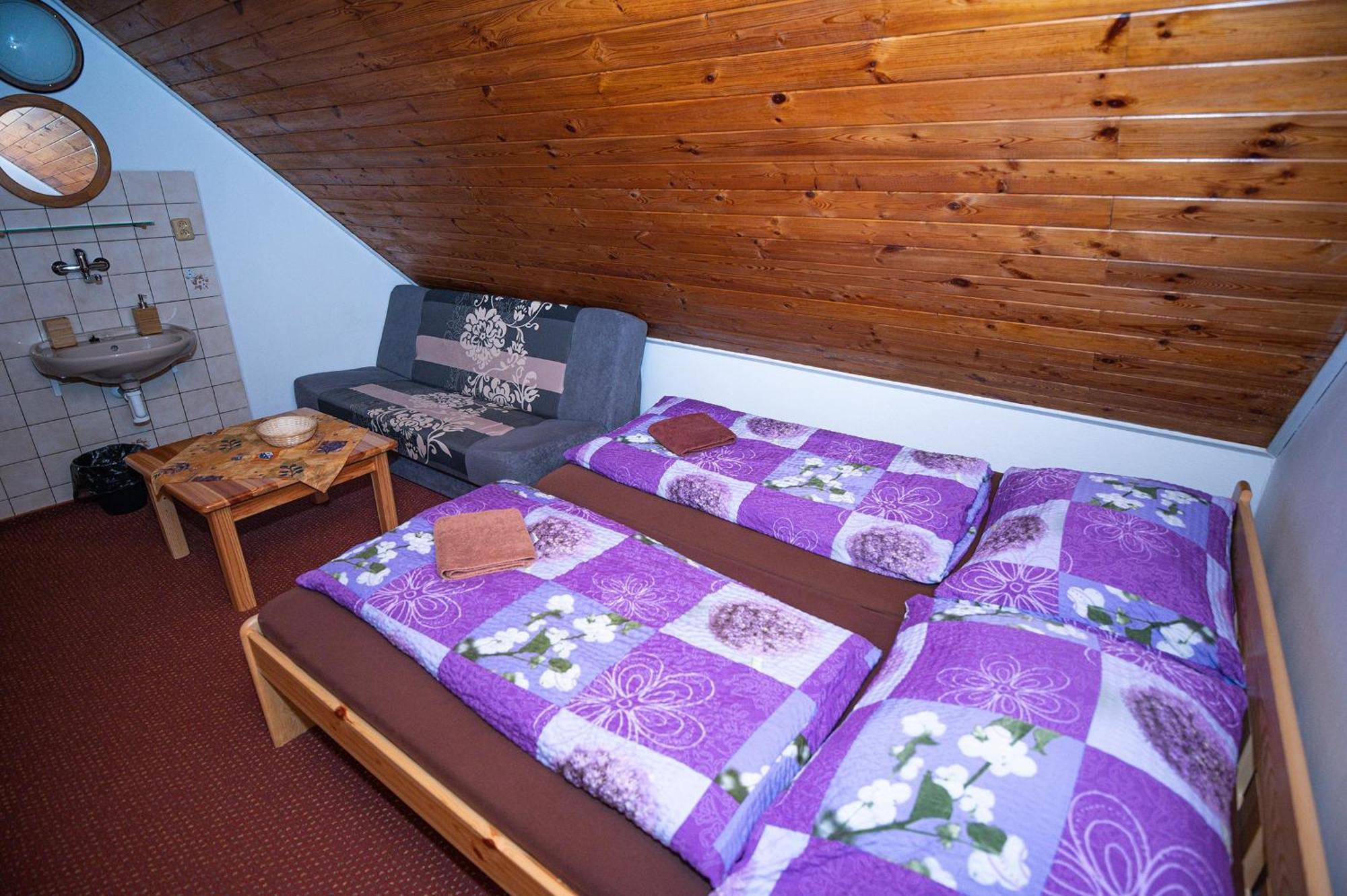 Penzion Harry Na Sjezdovce Krkonose Vysoke nad Jizerou Ngoại thất bức ảnh