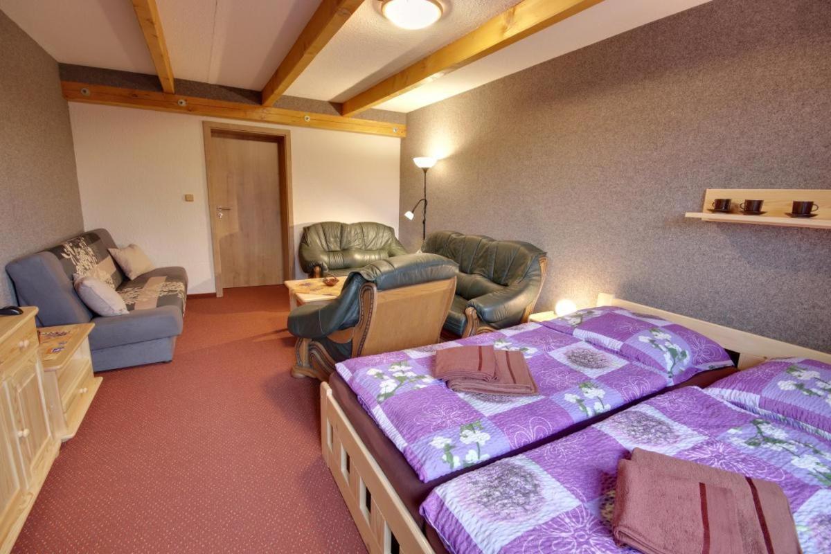 Penzion Harry Na Sjezdovce Krkonose Vysoke nad Jizerou Ngoại thất bức ảnh