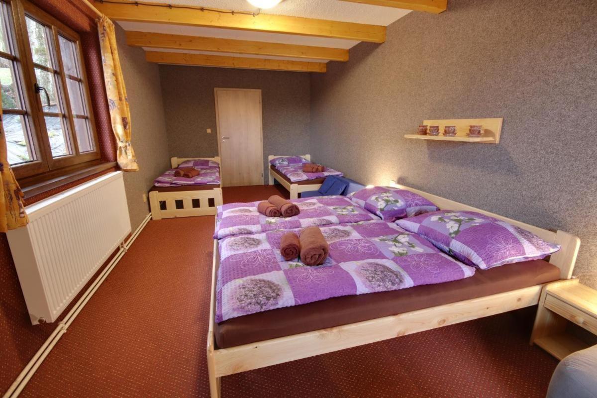 Penzion Harry Na Sjezdovce Krkonose Vysoke nad Jizerou Ngoại thất bức ảnh